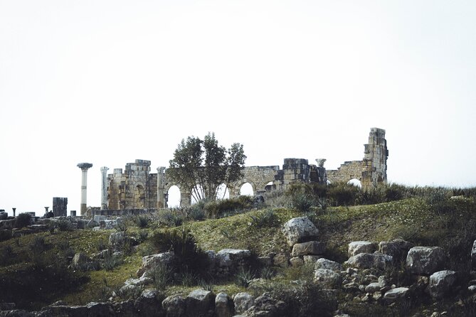 Full-Day Historical Tour to Meknes Volubilis and Moulay Idriss - What can trip you up: no local guide, tickets, and reconstruction