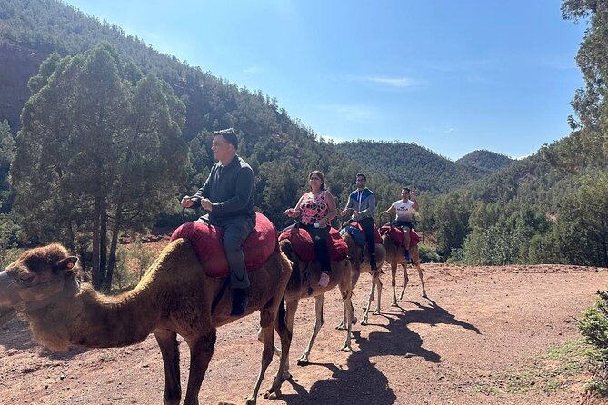 Full-Day Private Atlas Tour from Marrakech to Ourika Valley. - Lunch not included: how to keep the day from feeling rushed