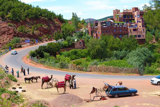 Full Day Private Berbere Experience in High Atlas - Monday Souk Timing: A Possible Bonus If Your Date Lines Up