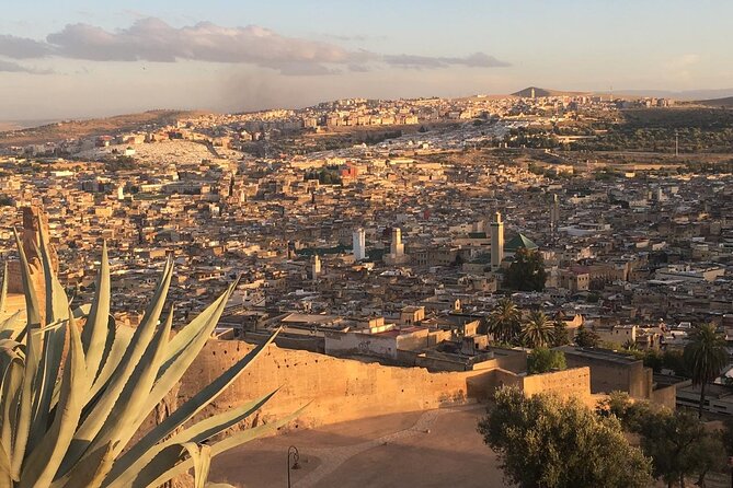 Full -Day Private Guided Walking Tour Of Fez Medina - Price and Value: What $40.65 Buys You in Real City Time