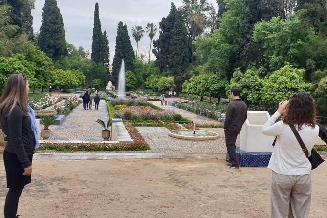 Full-Day Private Tour of Fez - Bab Boujloud and the Mellah: color, power, and community