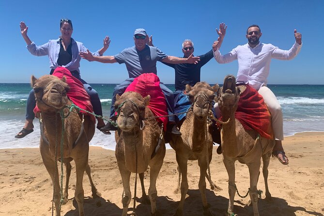 Full Day Private Tour of Tangier - Museum and garden pacing: Mendoubia, the Kasbah Museum, and more