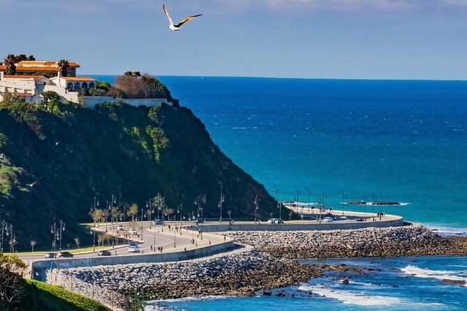 full day private tour of tangier from the cruise ship pick up - Achakkar Beach camel ride: what 30 minutes gives you