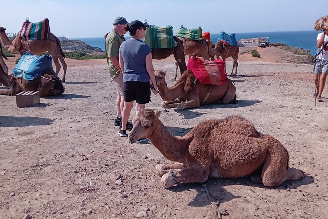 full day private tour of tangier from the cruise ship pick up - Hercules Caves: myth, legends, and a quick reality check