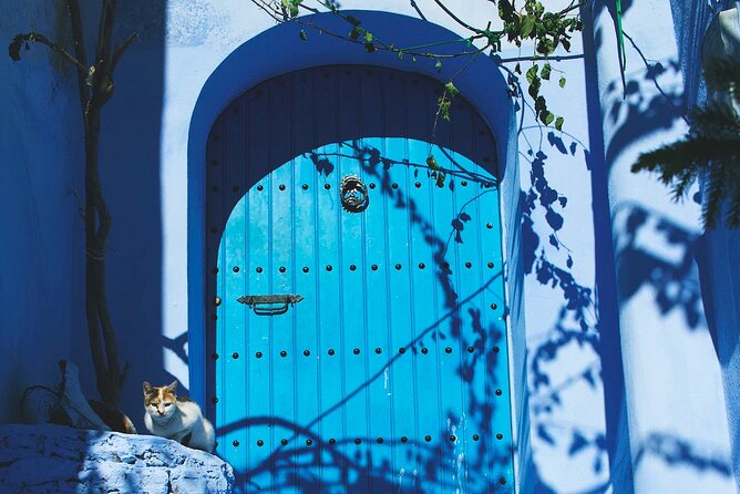 Full Day Private Trip to Chefchaouen the Blue City from Tangier - The Kasbah and Viewpoints: Why the Rif Valley Feels Close