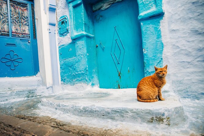 Full Day Private Trip to Chefchaouen the Blue City from Tangier - Lunch Is On You, So Plan a Simple Strategy