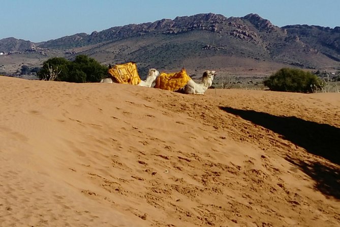 Full-Day Safari Small Desert With Lunch - Fishermen Village Views, Ocean Stops, and Why They Work