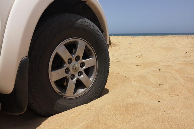 Full-Day Safari Small Desert With Lunch - Logistics, Timing, and the Reality of Vehicle Time