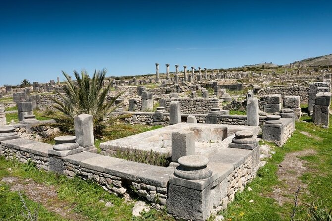 Full-Day Tour from Fez to Vollubulis, Moulay Idriss Zerhoun, Mèknes - Is this tour a good fit for you?