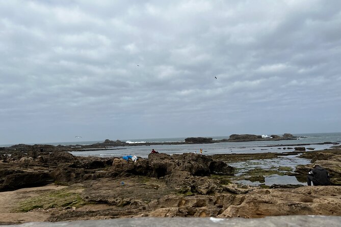 Full Day Tour From Marrakech To Essaouira Mogador - Morning or afternoon: which start time suits you