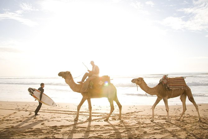 Full-Day Tour to Essaouira - The Ancient Mogador City from Marrakech - Practical tips for a smoother day (and better photos)