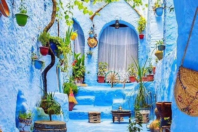 Full-Day Tour to the Blue City Chefchaouen on Small-Group - Key Highlights You’ll Care About