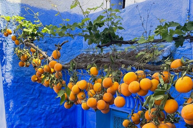Full-Day Tour to the Blue City Chefchaouen on Small-Group - How to Use Your 4 Hours Like a Pro