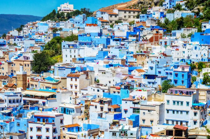 Full day trip from Fez to Chefchaouen - Driver quality and safety: what people consistently praise