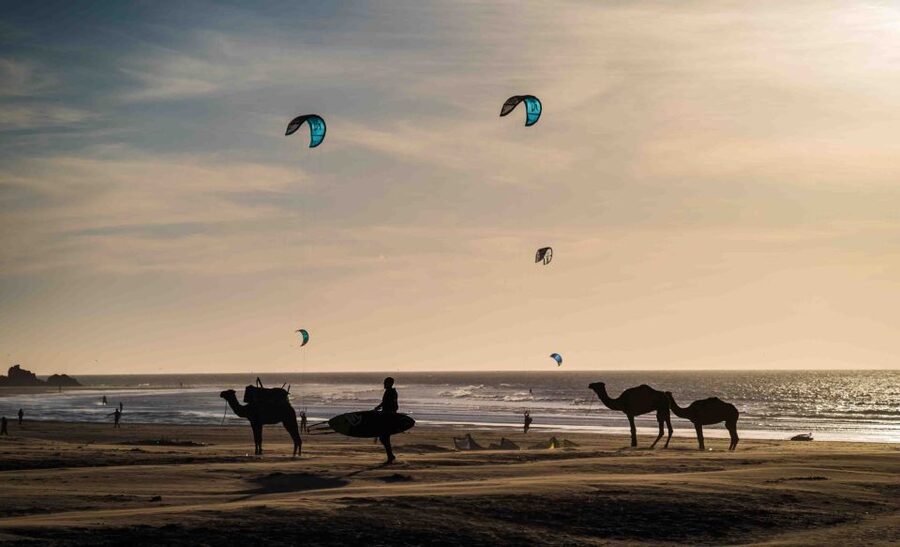 Full Day Trip From Marrakech To Essaouira - Free Time Strategy: How to Use 4 Hours Like a Local