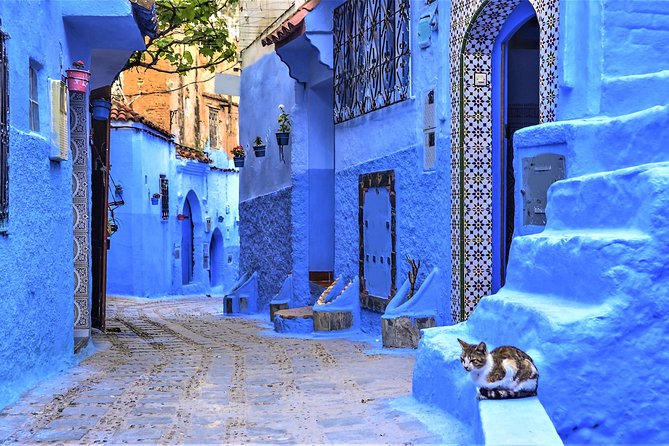 Full-Day Trip to Chefchaouen from Tangier - Kasbah, Mosque, and Utta El Hamam Square: the Sights That Anchor the Town