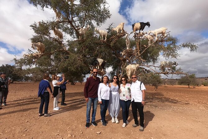 Full Day Trip To Essaouira city - Departure From Marrakech - Jewish Quarter and Berber Markets, With Shopping Streets Built In