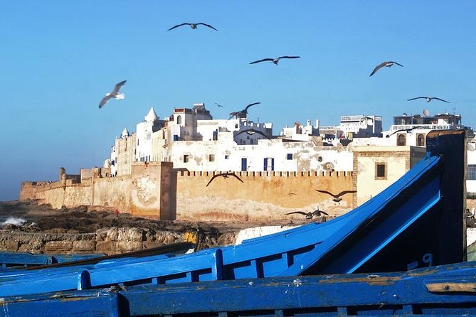 Full Day Trip To Essaouira city - Departure From Marrakech - Transport Reality: Long Drive, Group Size, and Comfort Checks