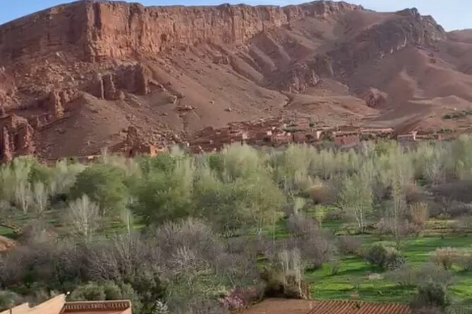 Full Day Trip to Ouarzazate and Ait Benhaddou from Marrakech - Should You Book This Marrakech to Ouarzazate and Ait Benhaddou Day Trip?