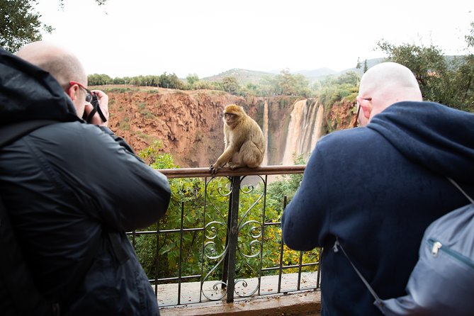 Full Day Trip To Ouzoud Waterfalls From Marrakech & Boat Tour - The Boat Ride Up Close: What It Adds to the Day