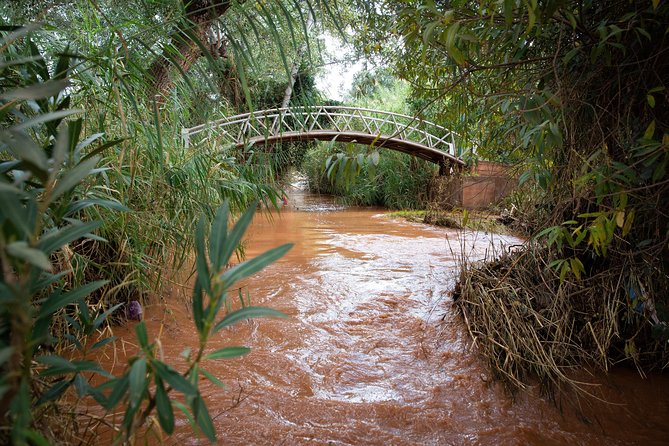 Full Day Trip To Ouzoud Waterfalls From Marrakech & Boat Tour - Lunch at the Waterfall Area: Budget It and Choose Wisely
