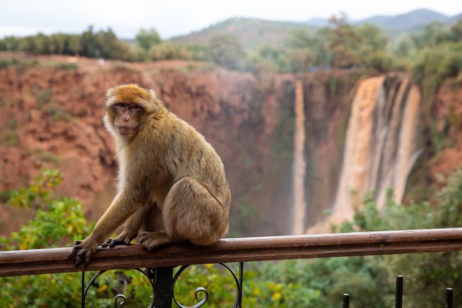 Full Day Trip To Ouzoud Waterfalls From Marrakech & Boat Tour - Who This Ouzoud Day Trip Fits Best
