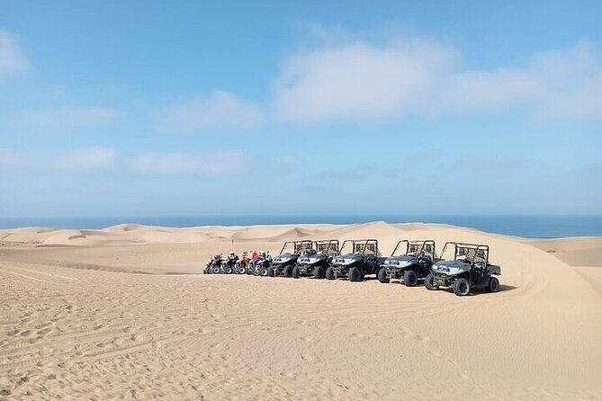 Fun buggies in Agadir Forest and Beach Dunes - Key Highlights You Should Know Before You Go
