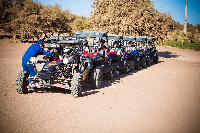 Fun buggies in Agadir Forest and Beach Dunes - Why Agadir Forest Leads Straight to Big Sand