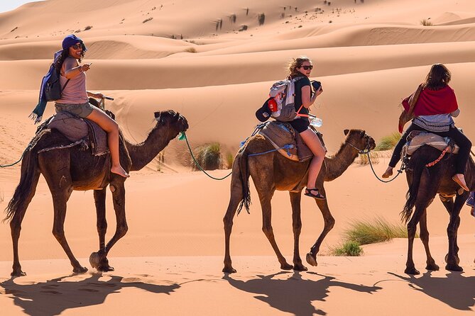 Group 3-Day Marrakech to Merzouga Desert Tour - Todgha Canyon: a quick walk with cool air and tall walls