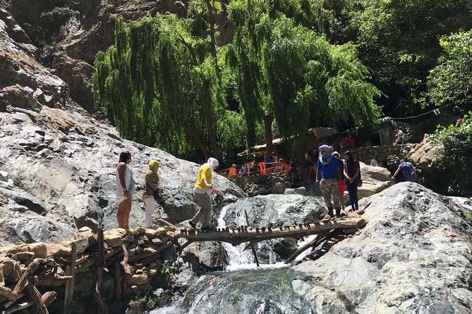 Group shared day tour to Ourika valley & Atlas Mountains - Group Size: Why Max 17 Makes the Day Feel Better