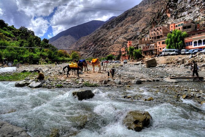 Group shared day tour to Ourika valley & Atlas Mountains - Getting There: Shared Ride, Pickup, And Real Timing