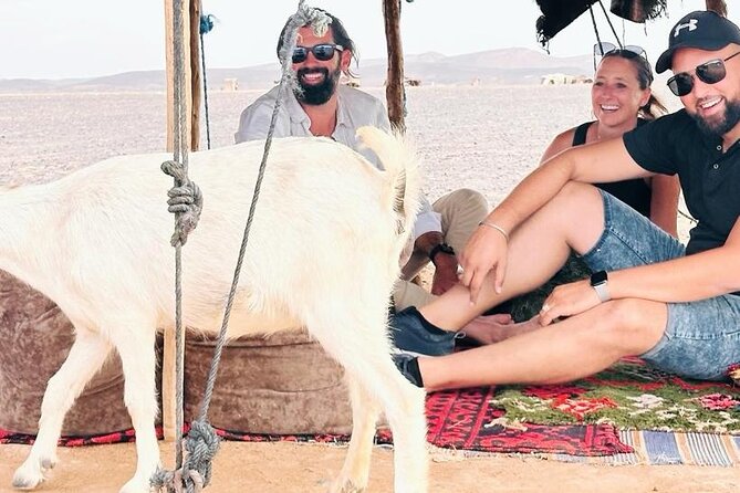 GROUP TOUR - 1 night 2 Day LUXURY Desert TRIP from FES to FES - The luxury tent night, dinner, and stargazing