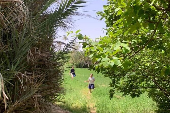 Guided tour of the Palmerie de Skoura by electric mountain bike - Key highlights worth marking on your map