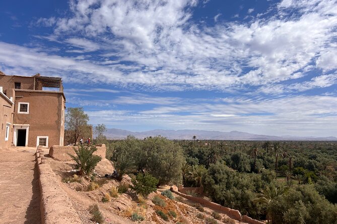 Guided tour of the Palmerie de Skoura by electric mountain bike - Skoura Ahl El Oust on hybrid e-bikes: irrigation stories and mountain panoramas