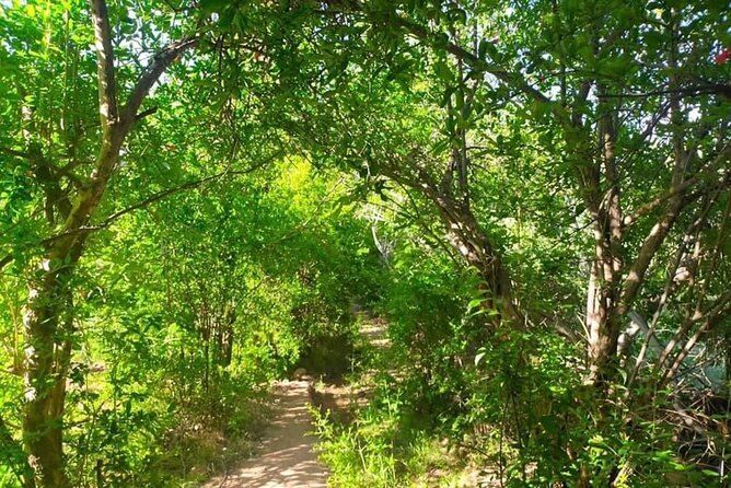Guided tour of the Palmerie de Skoura by electric mountain bike - Final call: book this Skoura VTT Aventures ride or pass