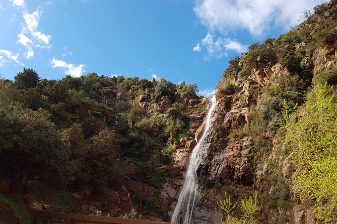 Half-Day Atlas Mountains Tour From Marrakech - Key highlights to look for