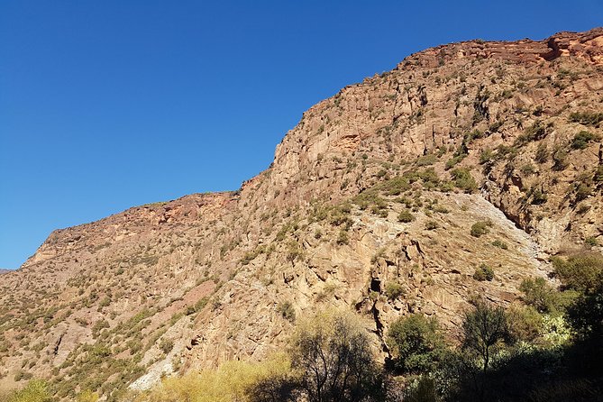 Half-Day Atlas Mountains Tour From Marrakech - Price and value: why $80.26 can be a fair deal