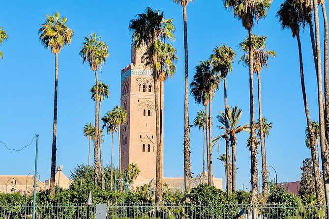 Half Day Guided Tour in Marrakech History & Culture - Starting point and how the tour actually works in the medina