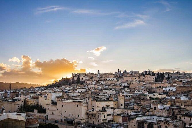 Half Day Guided Walking Tour in the Medina of Fez - Bab Boujloud: the Blue Gate finale that earns the last photos