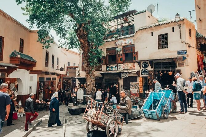 Half Day Guided Walking Tour in the Medina of Fez - Al-Attarine Madrasa: where details are the main event