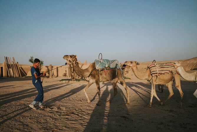 Half day in Agafay desert with Camel ride, Quad biking and dinner nomad tent - Sunset camel ride: the calm contrast that makes it special