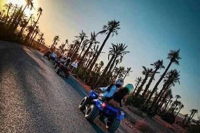 Half-Day Quad Biking and camel riding in Marrakech Palmeraie - Your 4-hour plan: quad time, camel time, and Berber hospitality