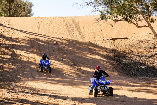 Half day Quad excursion / Half day quad - Argan Trees And Sand Tracks: A First Taste Of Off-Road