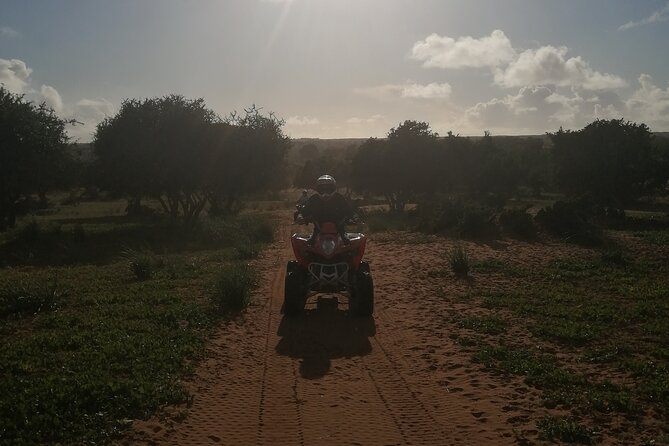 Half Day Quad in Agadir - The route: dunes, argan and eucalyptus forest, and village glimpses