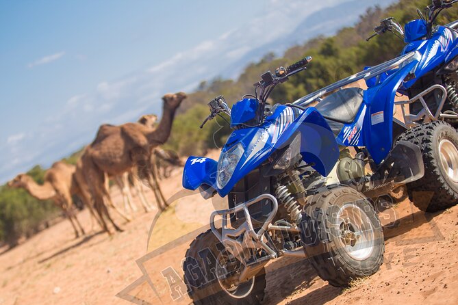 Half-day QUAD In Agadir + pick-up included from Agadir - How the ride feels: speed, spacing, and ride comfort