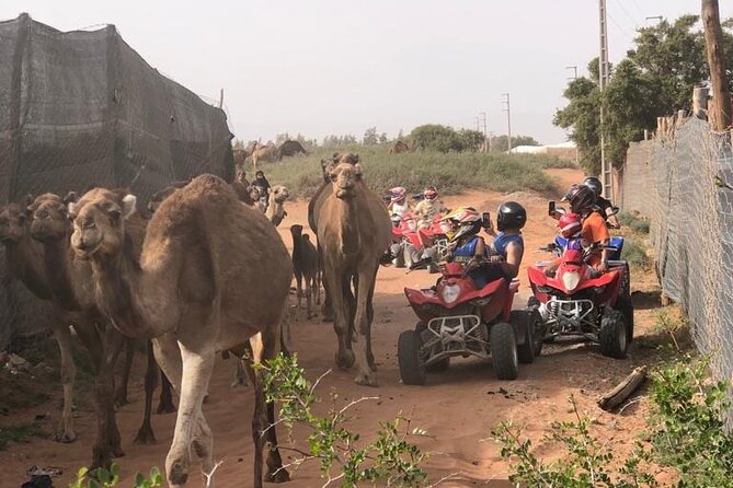 Half Day Quad in Agadir - Pickup, training, and what happens when you feel nervous