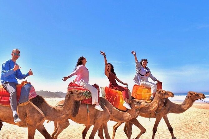 Half-Day Tangier Private Tour & Camel Ride & Colorful Markets - Tangier in 4 to 5 Hours: how the private plan works