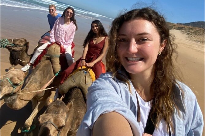 Half-Day Tangier Private Tour & Camel Ride & Colorful Markets - Tangier Casbah hilltop: palace grounds and city-overview vibes