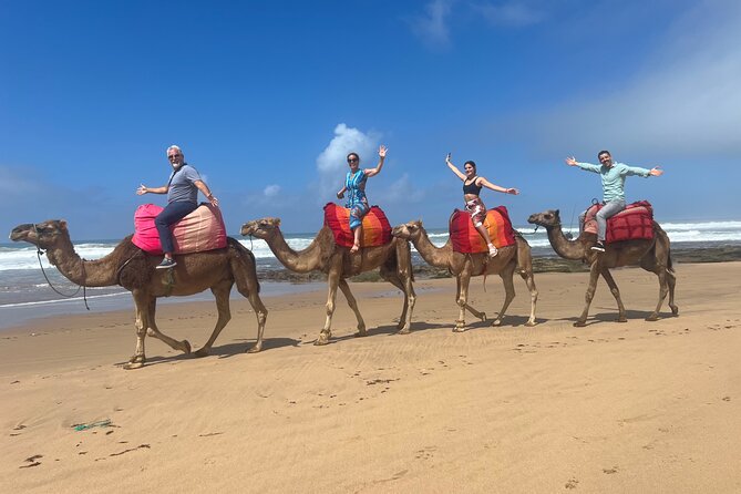 Half-Day Tangier Private Tour & Camel Ride & Colorful Markets - Medina of Tangier and Petite Socco markets: shopping time with a guide