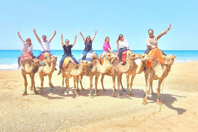 Half-Day Tangier Private Tour & Camel Ride & Colorful Markets - Price and value: is $116.15 per person a good deal